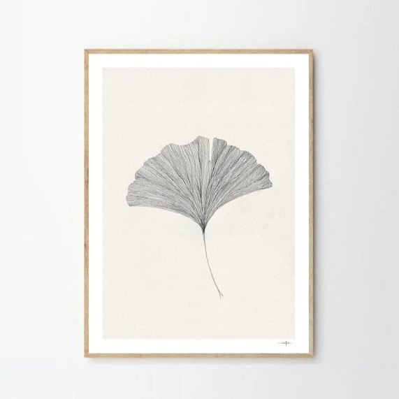 Ginko Leaf