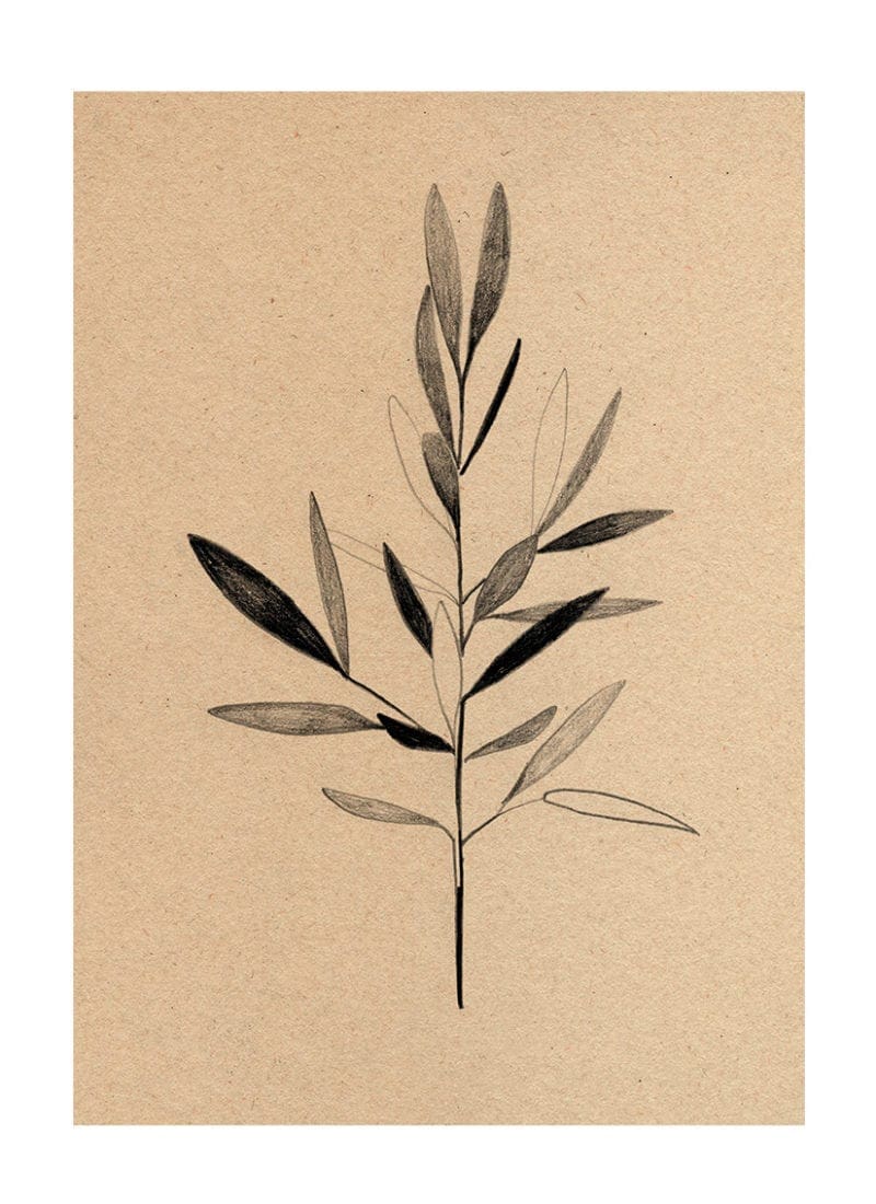 Olive