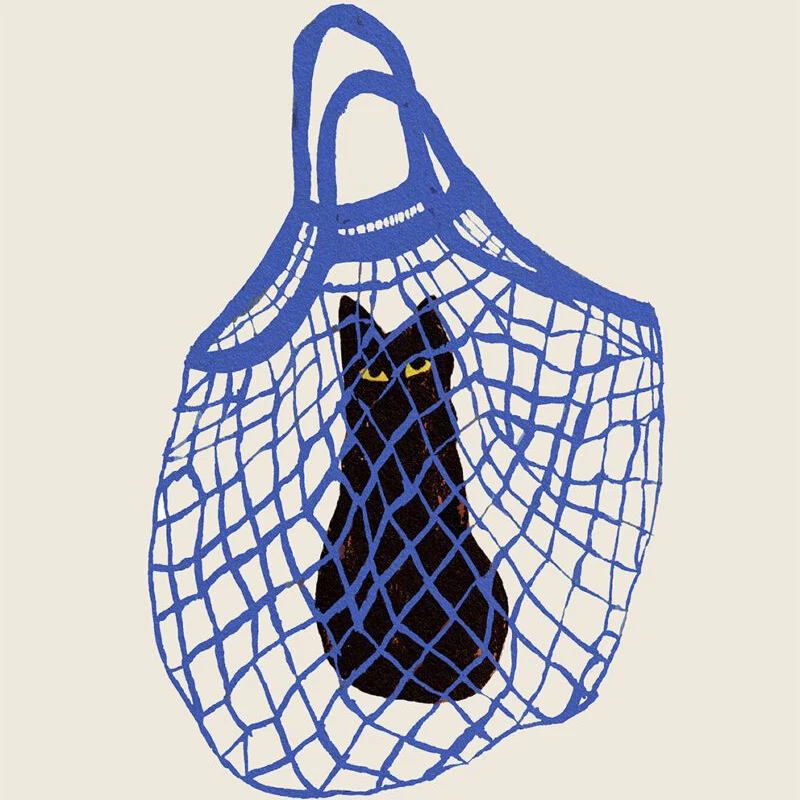 The Cat's In The Bag